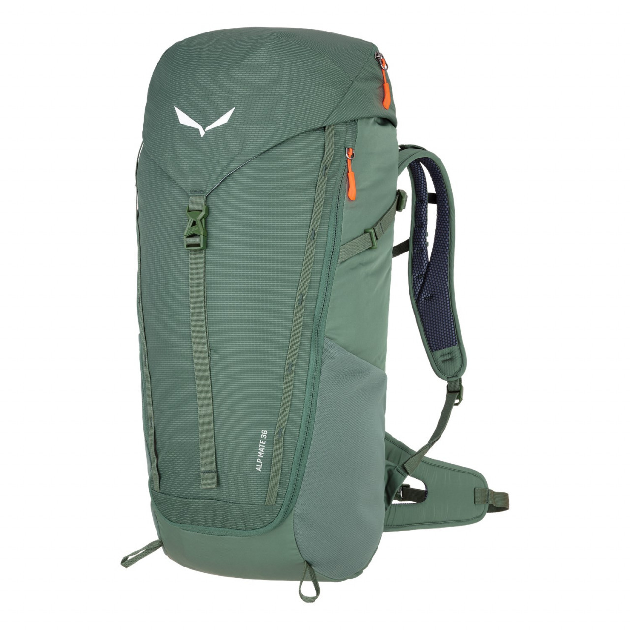 Salewa Alp Mate 36L Backpacks Green KLS-581069